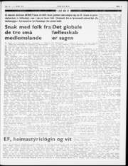 Síða 5