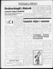 Síða 8