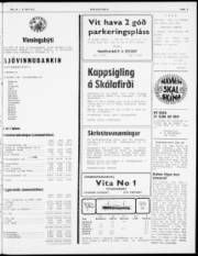 Síða 3