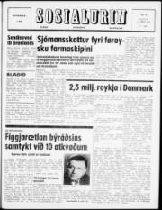 Síða 1