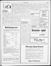 Síða 3