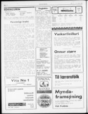 Síða 2