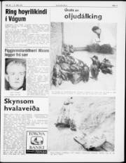 Síða 5