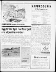 Síða 5