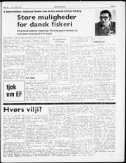 Síða 5