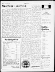Síða 5