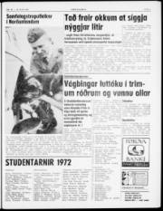 Síða 3