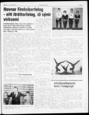 Síða 3