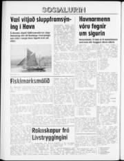 Síða 8
