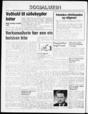 Síða 8