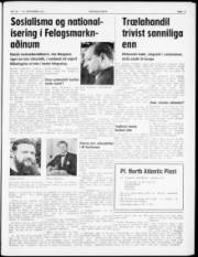 Síða 3