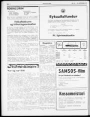 Síða 2