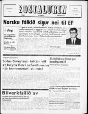 Síða 1