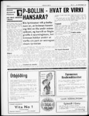 Síða 6