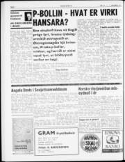 Síða 6