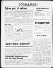 Síða 8