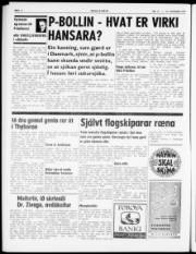Síða 4
