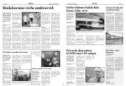 Síða 5
