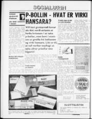 Síða 8