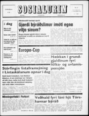 Síða 1