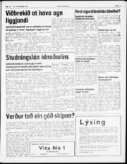 Síða 3