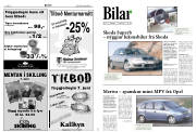 Síða 10