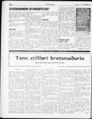 Síða 6
