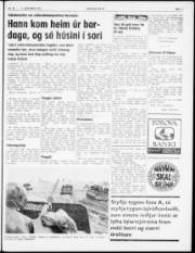 Síða 5