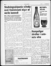 Síða 6