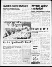 Síða 6