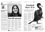 Síða 9