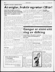 Síða 4