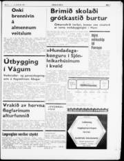 Síða 5