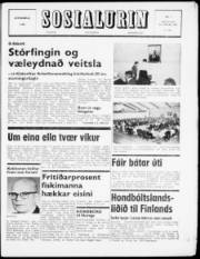 Síða 1
