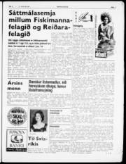 Síða 3