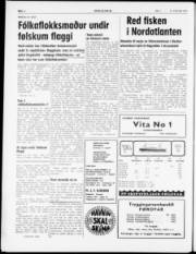 Síða 4