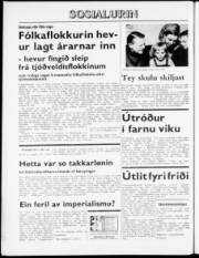 Síða 6