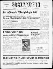 Síða 1