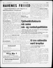 Síða 3