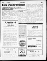 Síða 3