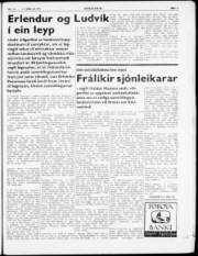 Síða 3