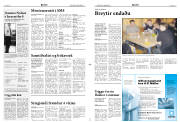 Síða 2
