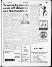 Síða 3