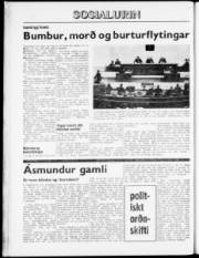 Síða 8