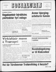 Síða 1
