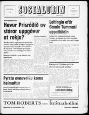 Síða 1