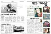 Síða 8