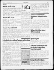 Síða 3