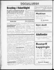 Síða 8
