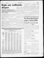 Síða 5